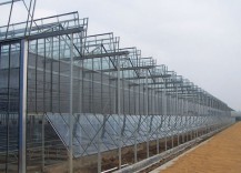 溫室大棚建設(shè)中大棚換膜需要注意的事項